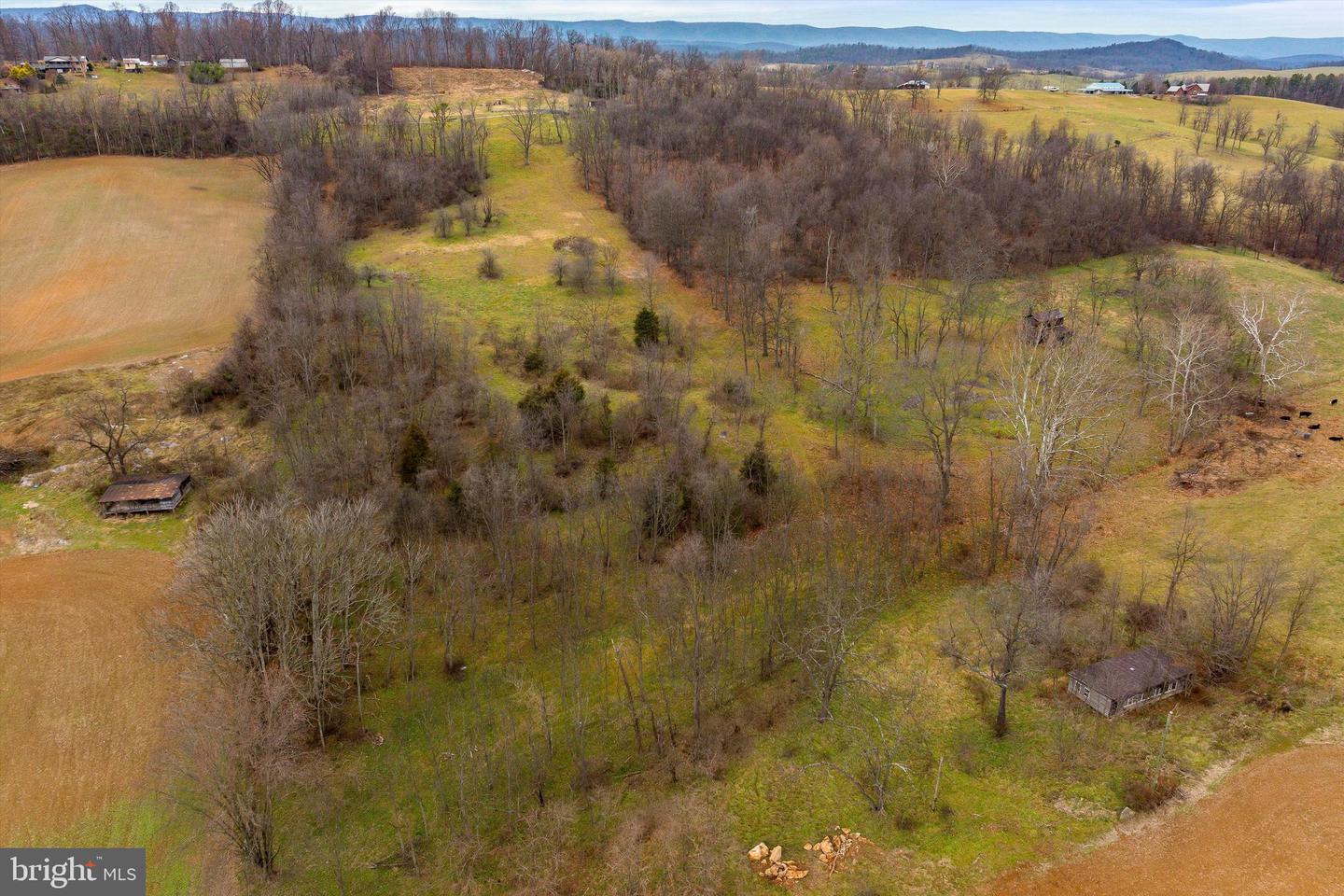 20449 HOLMANS CREEK LN, TIMBERVILLE, Virginia 22853, ,Land,For sale,20449 HOLMANS CREEK LN,VASH2010434 MLS # VASH2010434