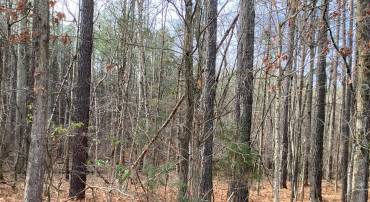 SHENANDOAH PATH, CATLETT, Virginia 20119, ,Land,For sale,SHENANDOAH PATH,VAFQ2015158 MLS # VAFQ2015158