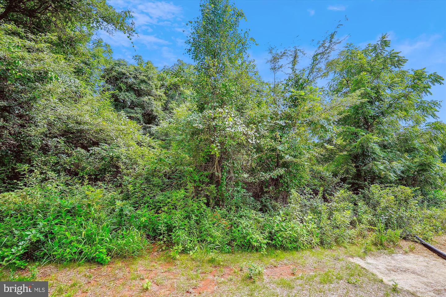 LOT 4 RYLAND CHAPEL RD, RIXEYVILLE, Virginia 22737, 4 Bedrooms Bedrooms, ,2 BathroomsBathrooms,Residential,For sale,LOT 4 RYLAND CHAPEL RD,VACU2009542 MLS # VACU2009542