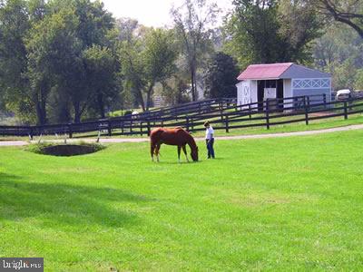 2714 LOGMILL RD, HAYMARKET, Virginia 20169, ,Farm,For sale,2714 LOGMILL RD,VAPW2086004 MLS # VAPW2086004