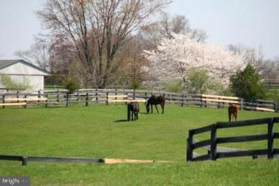 2714 LOGMILL RD, HAYMARKET, Virginia 20169, ,Farm,For sale,2714 LOGMILL RD,VAPW2086004 MLS # VAPW2086004