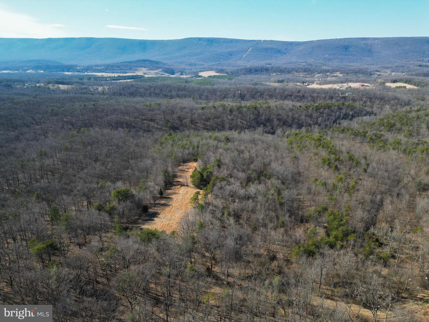 WARDENSVILLE GRADE #LOT 4, WINCHESTER, Virginia 22602, ,Farm,For sale,WARDENSVILLE GRADE #LOT 4,VAFV2023748 MLS # VAFV2023748