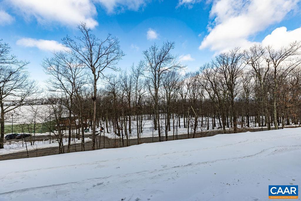 3228 NORTH RIDGE CONDOS, WINTERGREEN RESORT, Virginia 22967, 1 Bedroom Bedrooms, ,2 BathroomsBathrooms,Residential,For sale,3228 NORTH RIDGE CONDOS,660097 MLS # 660097