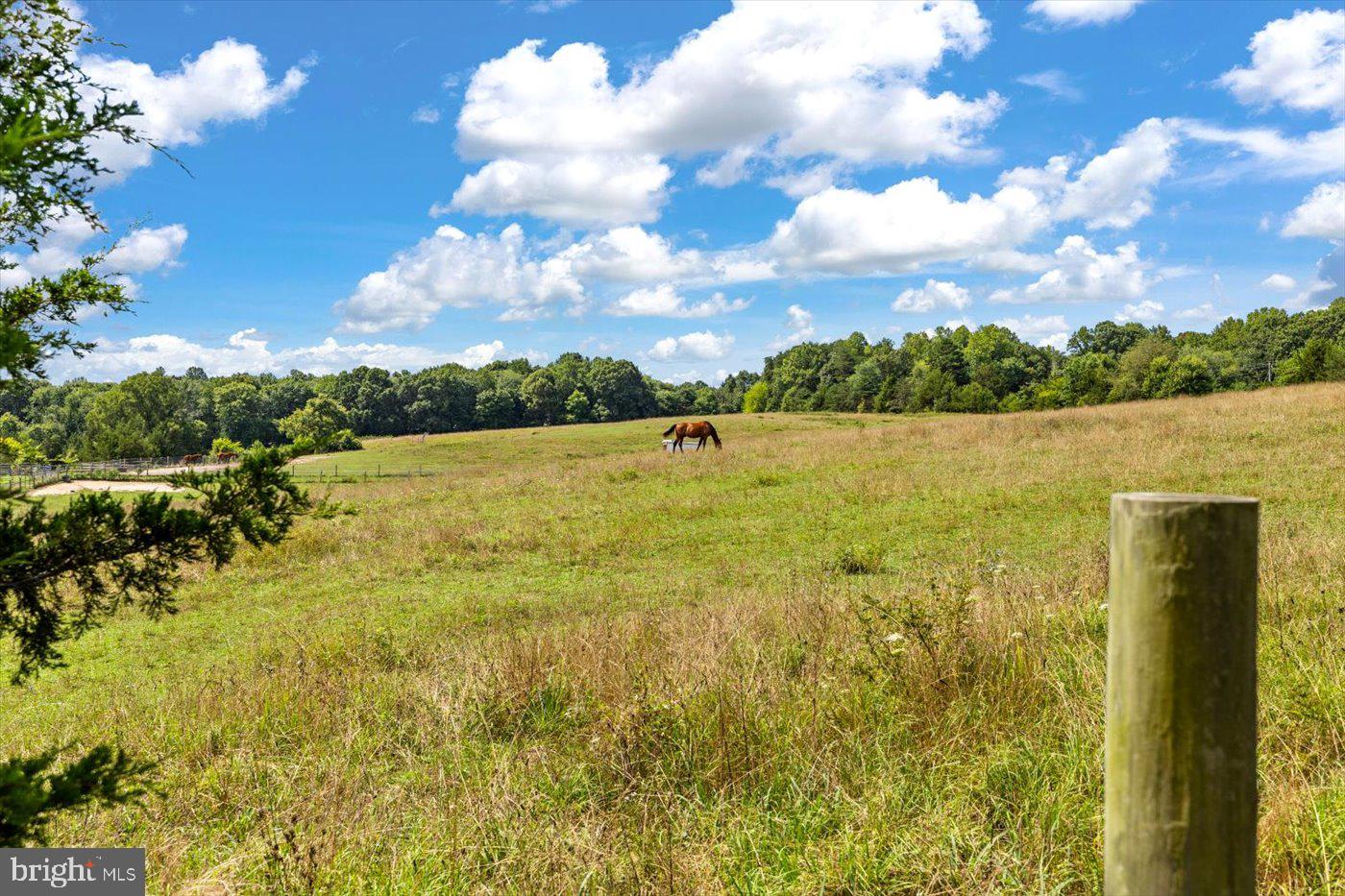 2838 BIBB STORE RD, LOUISA, Virginia 23093, 3 Bedrooms Bedrooms, ,2 BathroomsBathrooms,Farm,For sale,2838 BIBB STORE RD,VALA2006094 MLS # VALA2006094