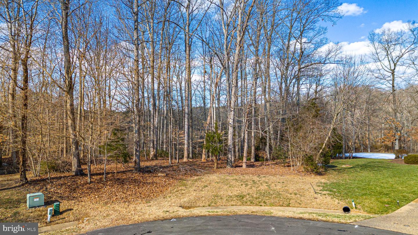 14505 RIVERSIDE DR, ASHLAND, Virginia 23005, ,Land,For sale,14505 RIVERSIDE DR,VAHA2000882 MLS # VAHA2000882