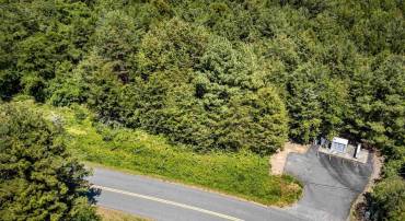 1245 CARPENTERS MILL RD, RUCKERSVILLE, Virginia 22968, ,Land,For sale,1245 CARPENTERS MILL RD,660114 MLS # 660114