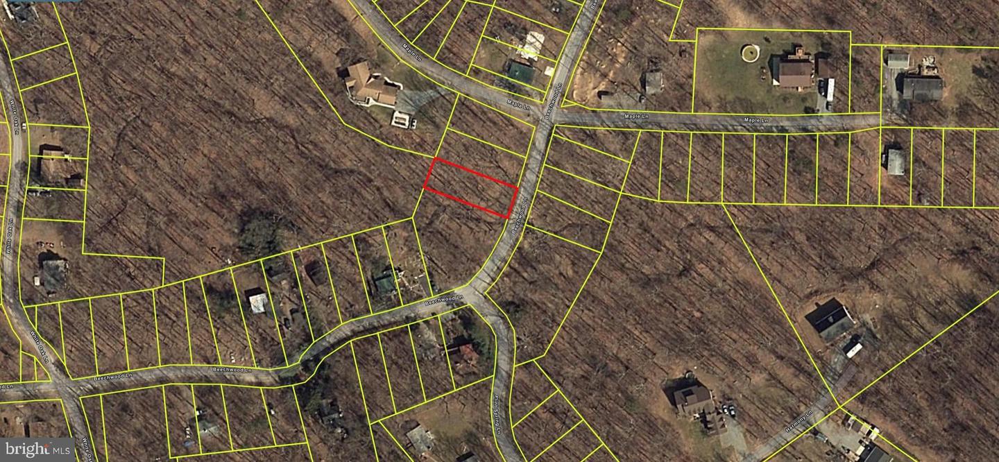 BEECHWOOD LN, BLUEMONT, Virginia 20135, ,Land,For sale,BEECHWOOD LN,VACL2003394 MLS # VACL2003394