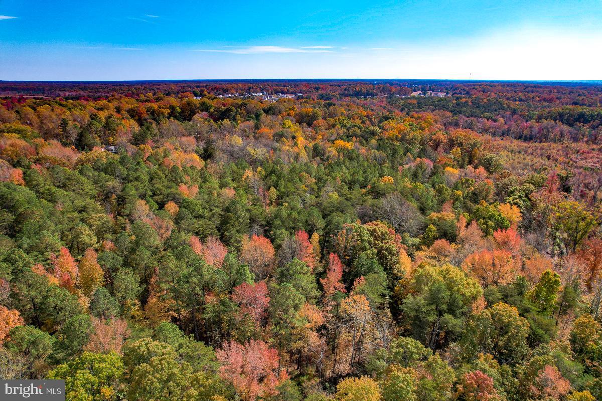 4.913 ACRES SARAH ST, BOWLING GREEN, Virginia 22427, ,Land,For sale,4.913 ACRES SARAH ST,VACV2007406 MLS # VACV2007406