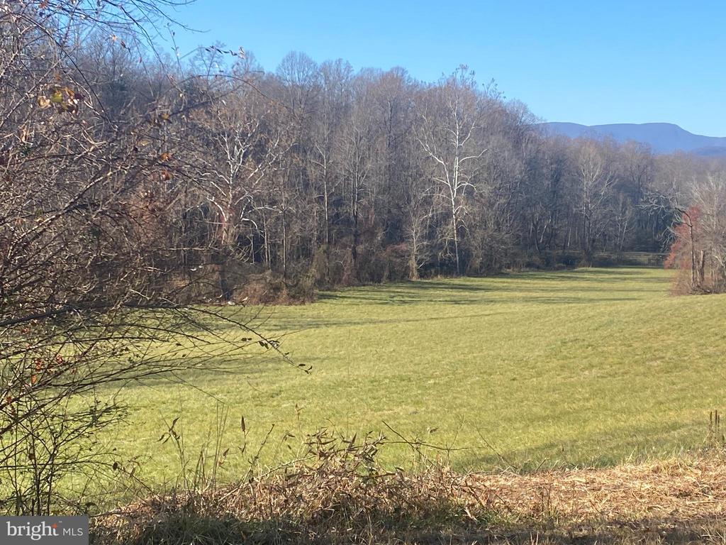 DUET RD, MADISON, Virginia 22727, ,Farm,DUET RD,VAMA2001418 MLS # VAMA2001418