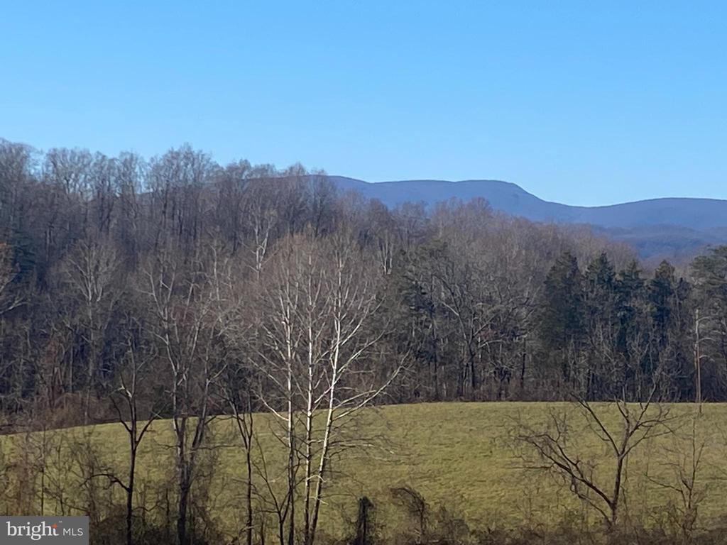 DUET RD, MADISON, Virginia 22727, ,Farm,DUET RD,VAMA2001418 MLS # VAMA2001418