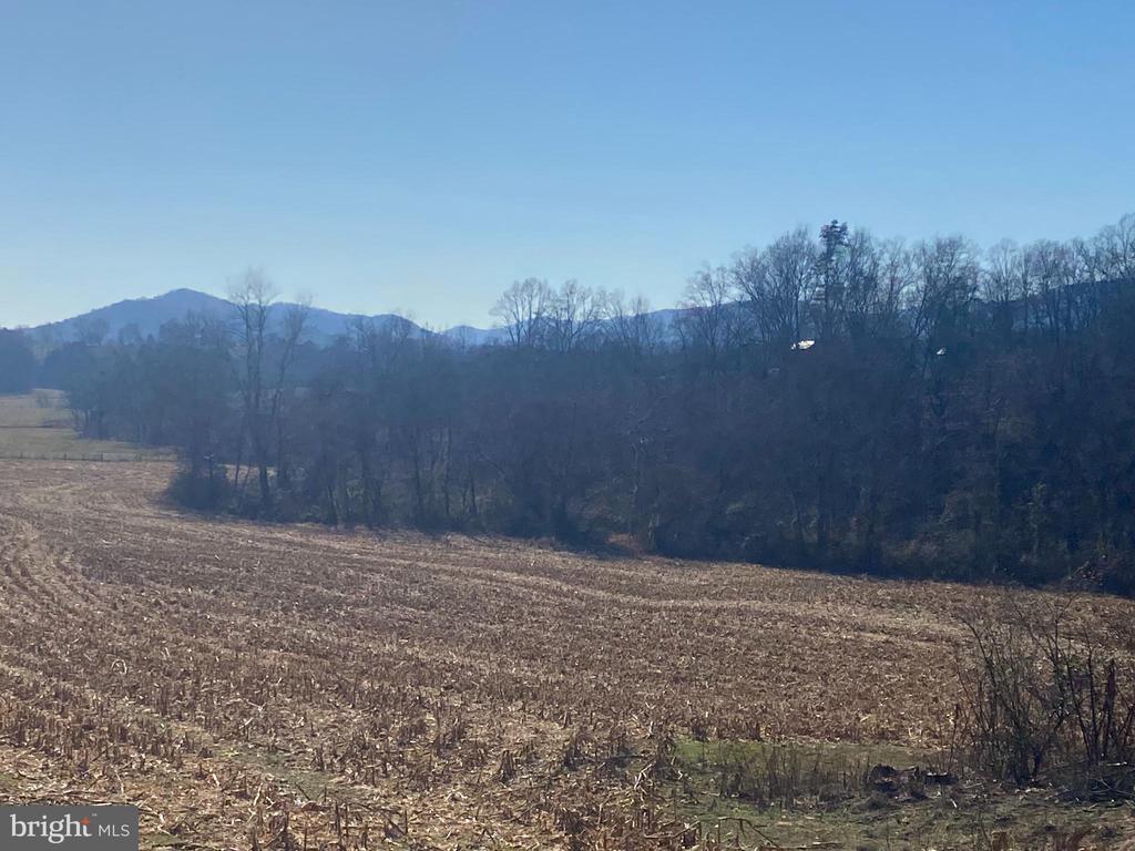 DUET RD, MADISON, Virginia 22727, ,Farm,DUET RD,VAMA2001418 MLS # VAMA2001418