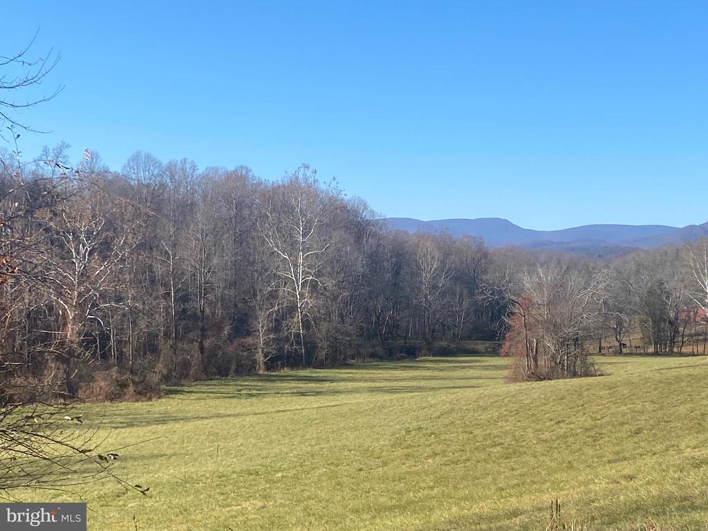 DUET RD, MADISON, Virginia 22727, ,Farm,DUET RD,VAMA2001418 MLS # VAMA2001418