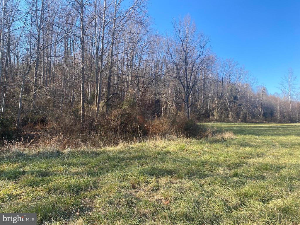 DUET RD, MADISON, Virginia 22727, ,Farm,DUET RD,VAMA2001418 MLS # VAMA2001418