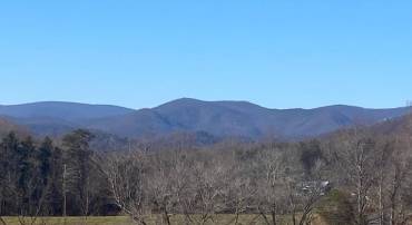 DUET RD, MADISON, Virginia 22727, ,Farm,DUET RD,VAMA2001418 MLS # VAMA2001418