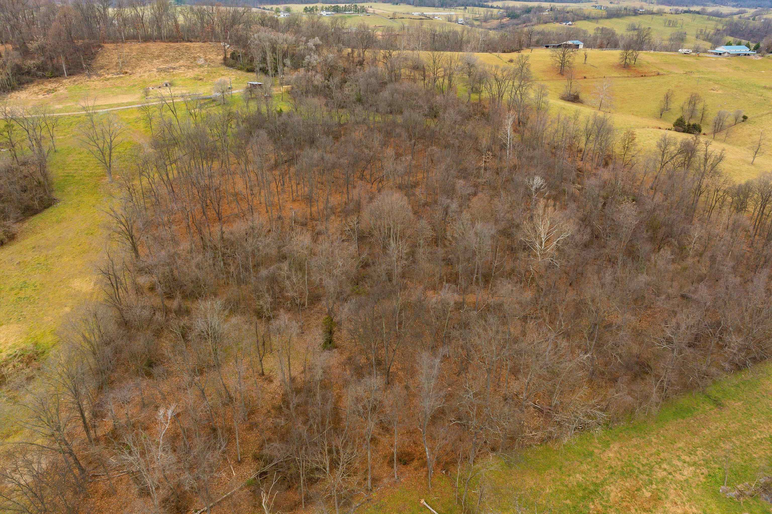 20449 HOLMAN CREEK LN, TIMBERVILLE, Virginia 22853, ,Land,20449 HOLMAN CREEK LN,659465 MLS # 659465