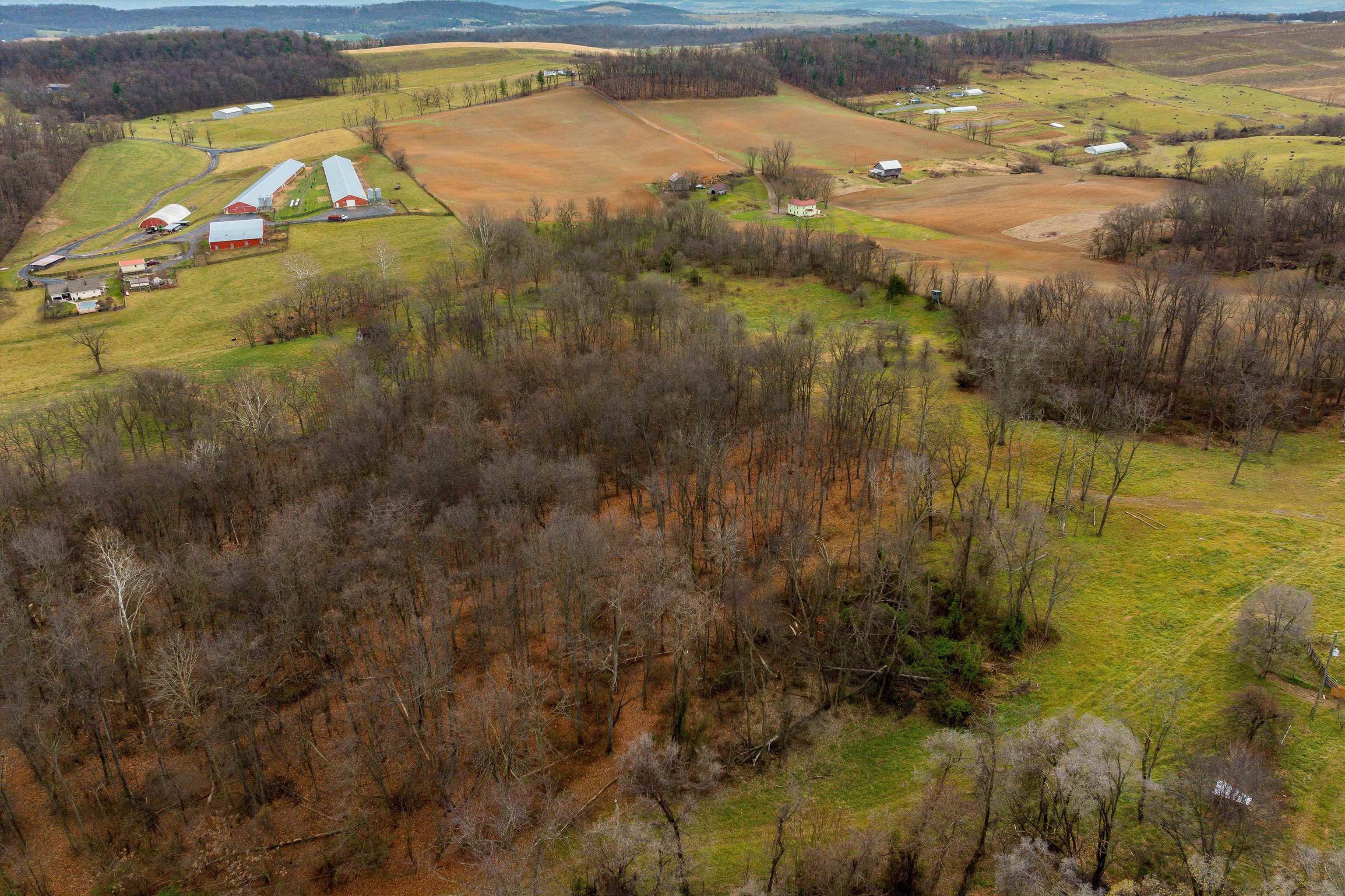 20449 HOLMAN CREEK LN, TIMBERVILLE, Virginia 22853, ,Land,20449 HOLMAN CREEK LN,659465 MLS # 659465