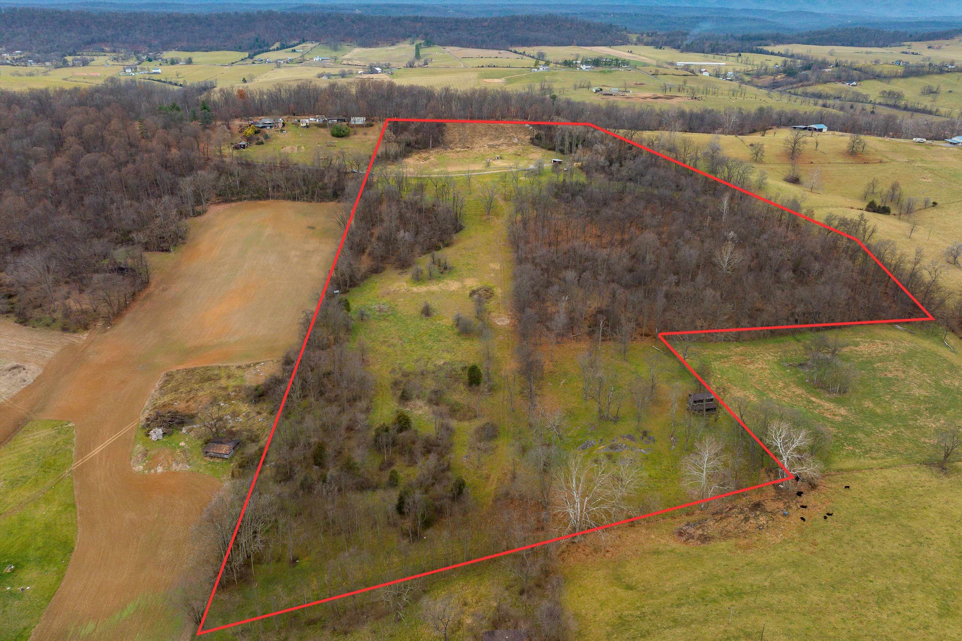 20449 HOLMAN CREEK LN, TIMBERVILLE, Virginia 22853, ,Land,20449 HOLMAN CREEK LN,659465 MLS # 659465