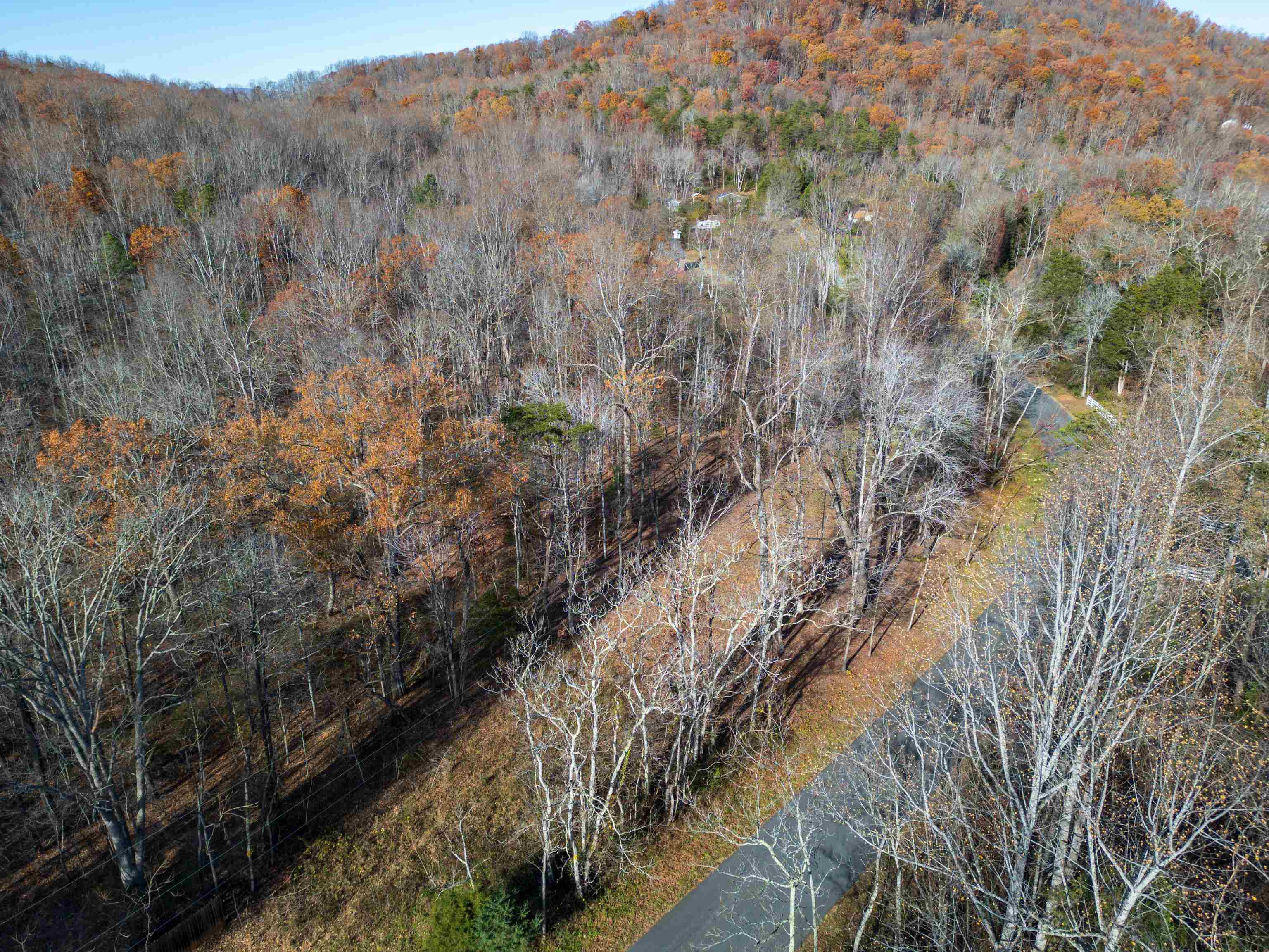 1.52 Acres OLD LYNCHBURG RD, NORTH GARDEN, Virginia 22959, ,Land,1.52 Acres OLD LYNCHBURG RD,659624 MLS # 659624