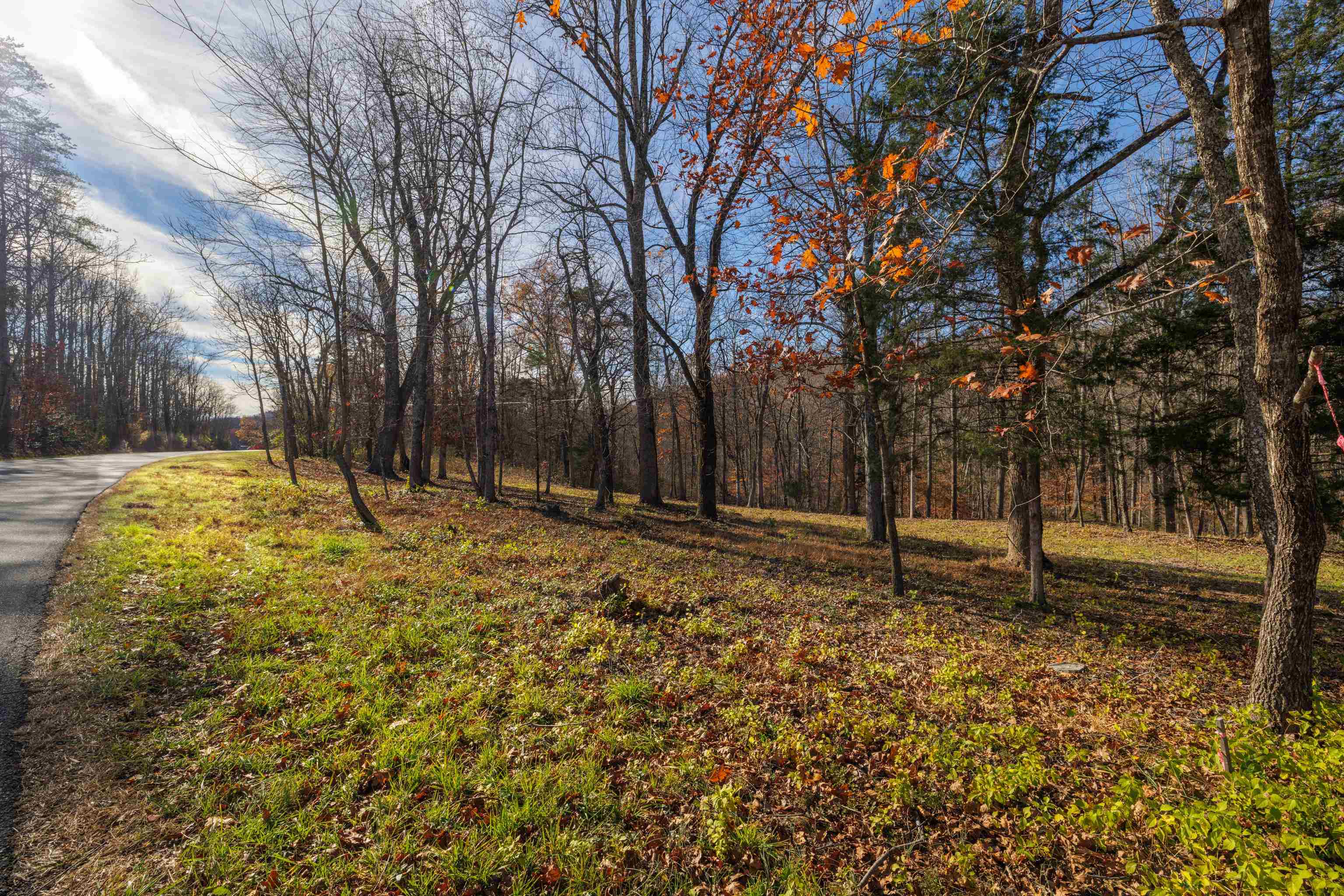 1.52 Acres OLD LYNCHBURG RD, NORTH GARDEN, Virginia 22959, ,Land,1.52 Acres OLD LYNCHBURG RD,659624 MLS # 659624