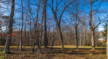 1.52 Acres OLD LYNCHBURG RD, NORTH GARDEN, Virginia 22959, ,Land,1.52 Acres OLD LYNCHBURG RD,659624 MLS # 659624