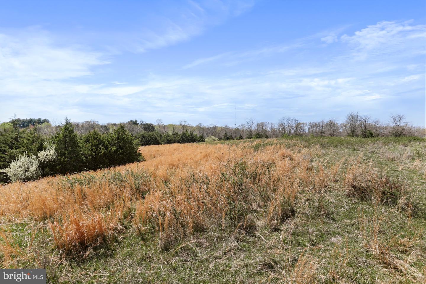 WINCHESTER RD, FRONT ROYAL, Virginia 22630, ,Farm,For sale,WINCHESTER RD,VAWR2010162 MLS # VAWR2010162