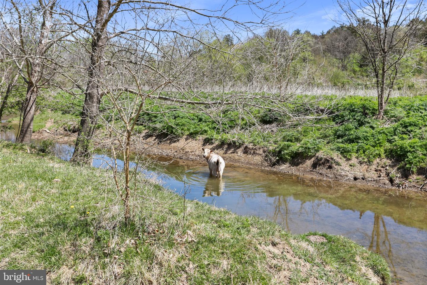 WINCHESTER RD, FRONT ROYAL, Virginia 22630, ,Farm,For sale,WINCHESTER RD,VAWR2010162 MLS # VAWR2010162