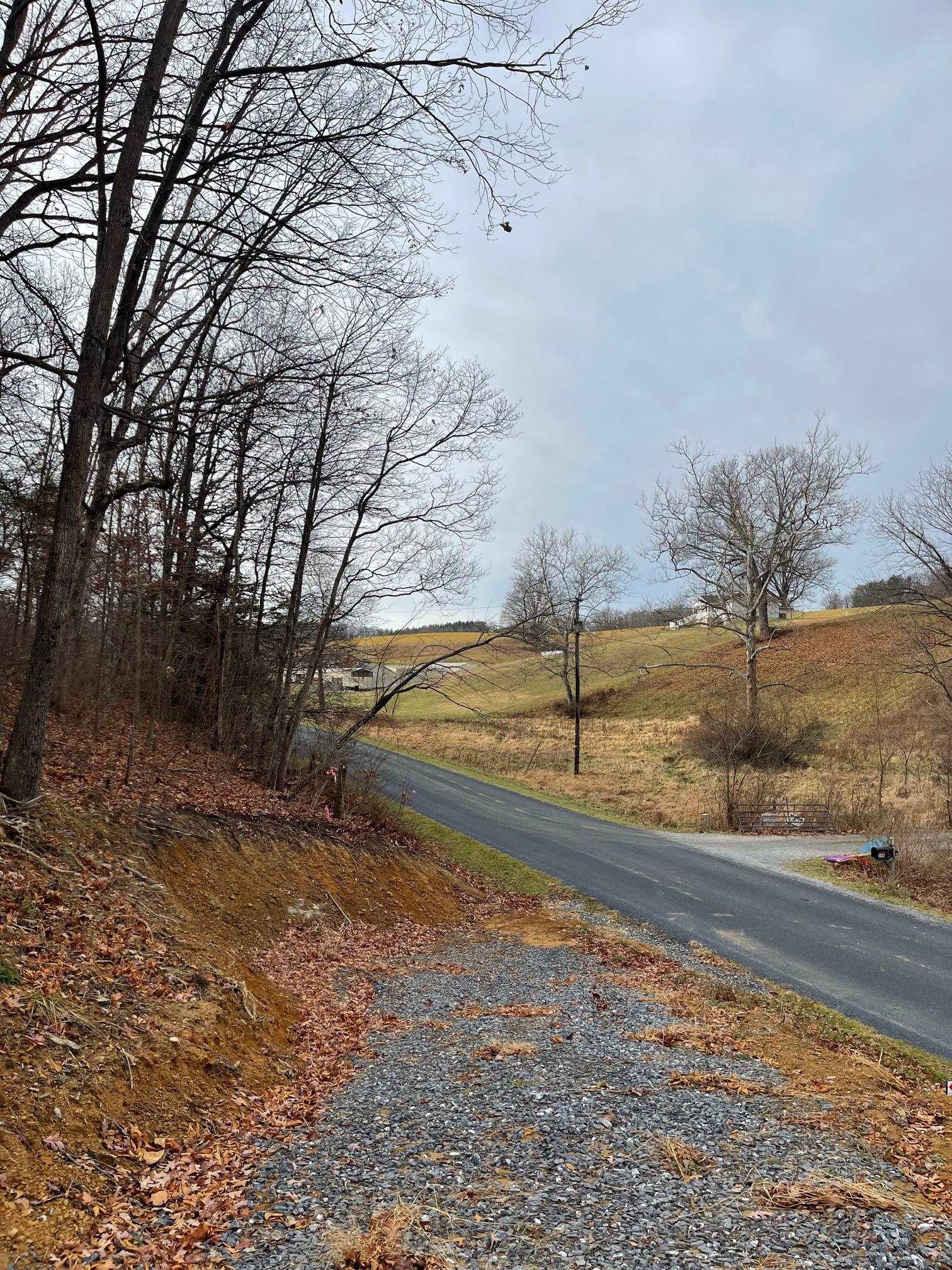 TBD SMOKEY ROW RD, STAUNTON, Virginia 24401, ,Land,TBD SMOKEY ROW RD,659760 MLS # 659760