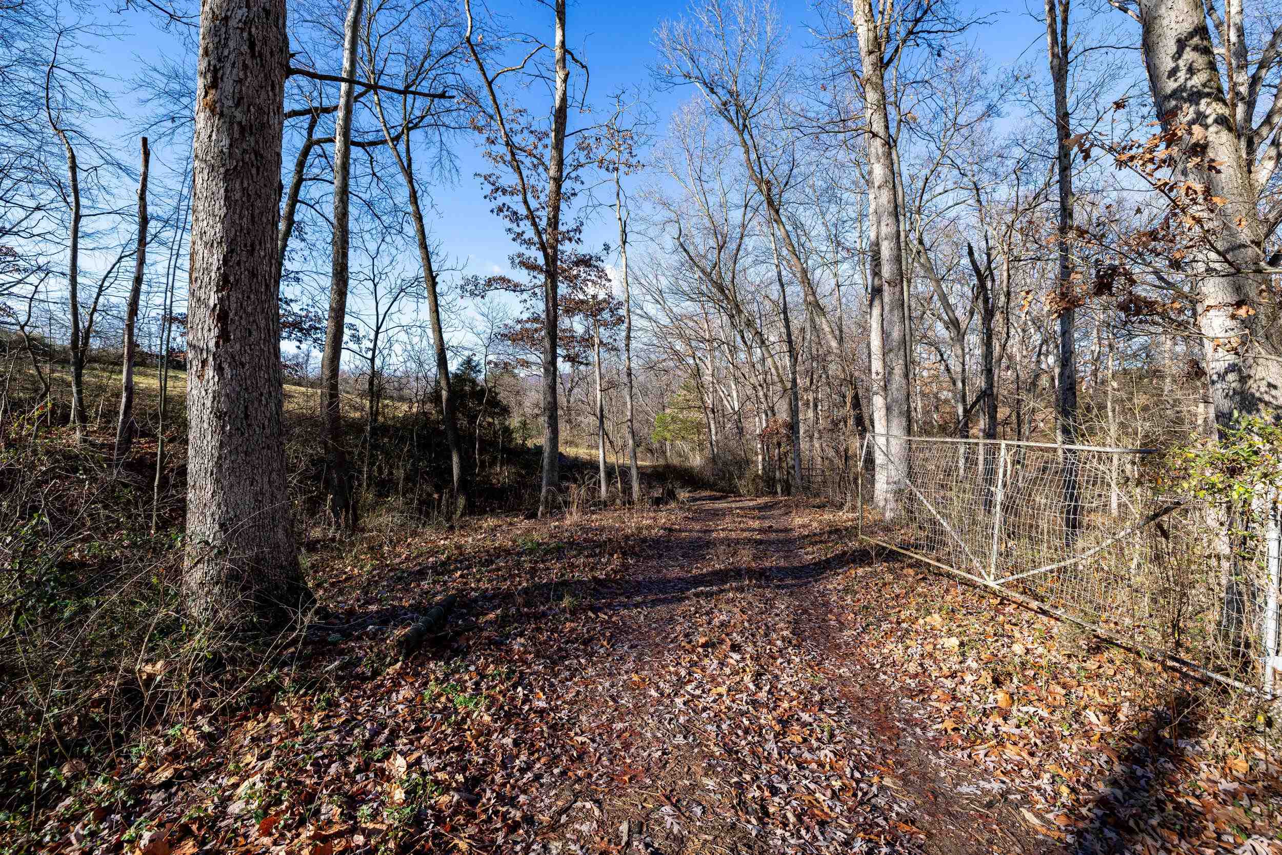 0 GRANDOS ST, SHENANDOAH, Virginia 22849, ,Land,0 GRANDOS ST,659850 MLS # 659850