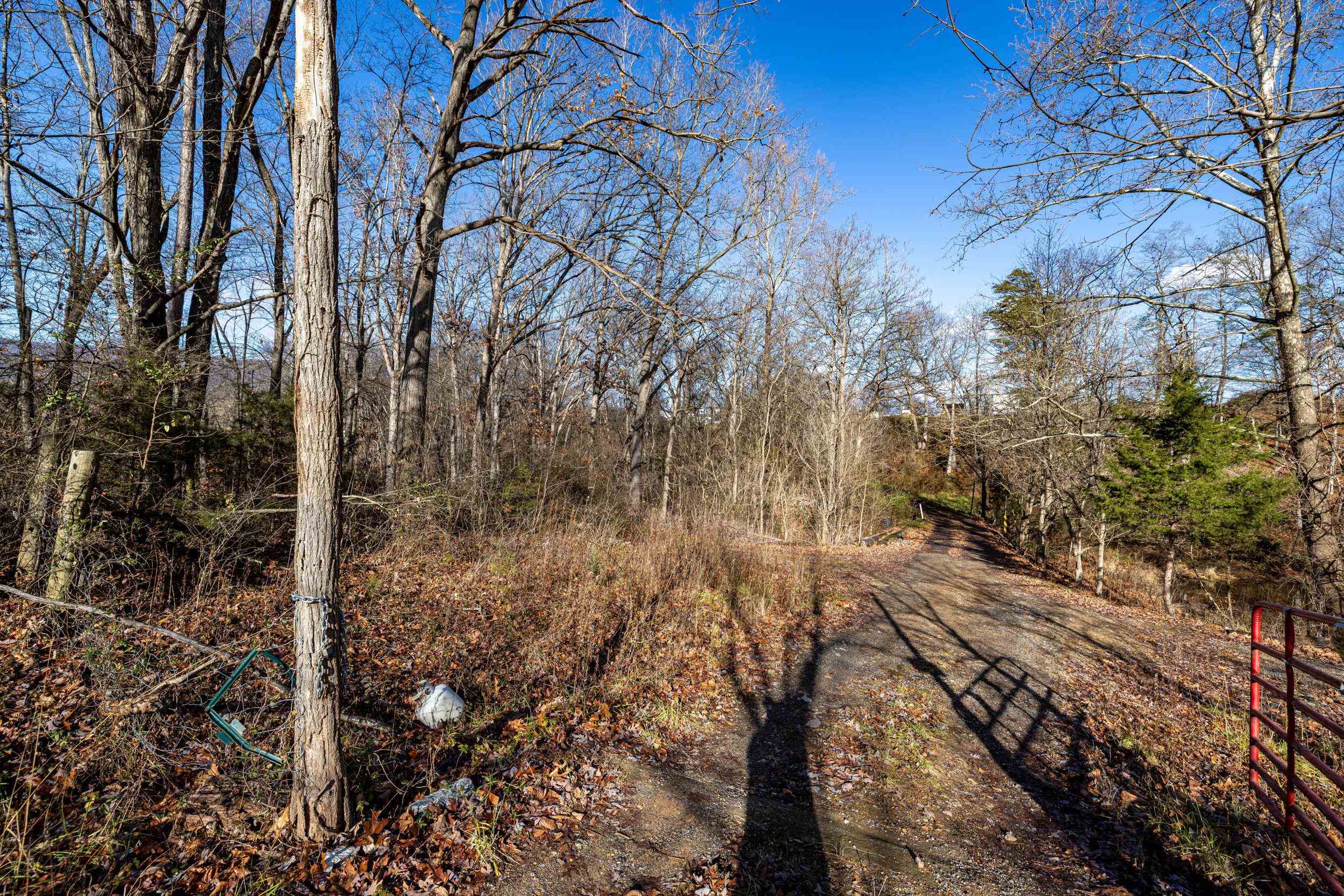 0 GRANDOS ST, SHENANDOAH, Virginia 22849, ,Land,0 GRANDOS ST,659850 MLS # 659850