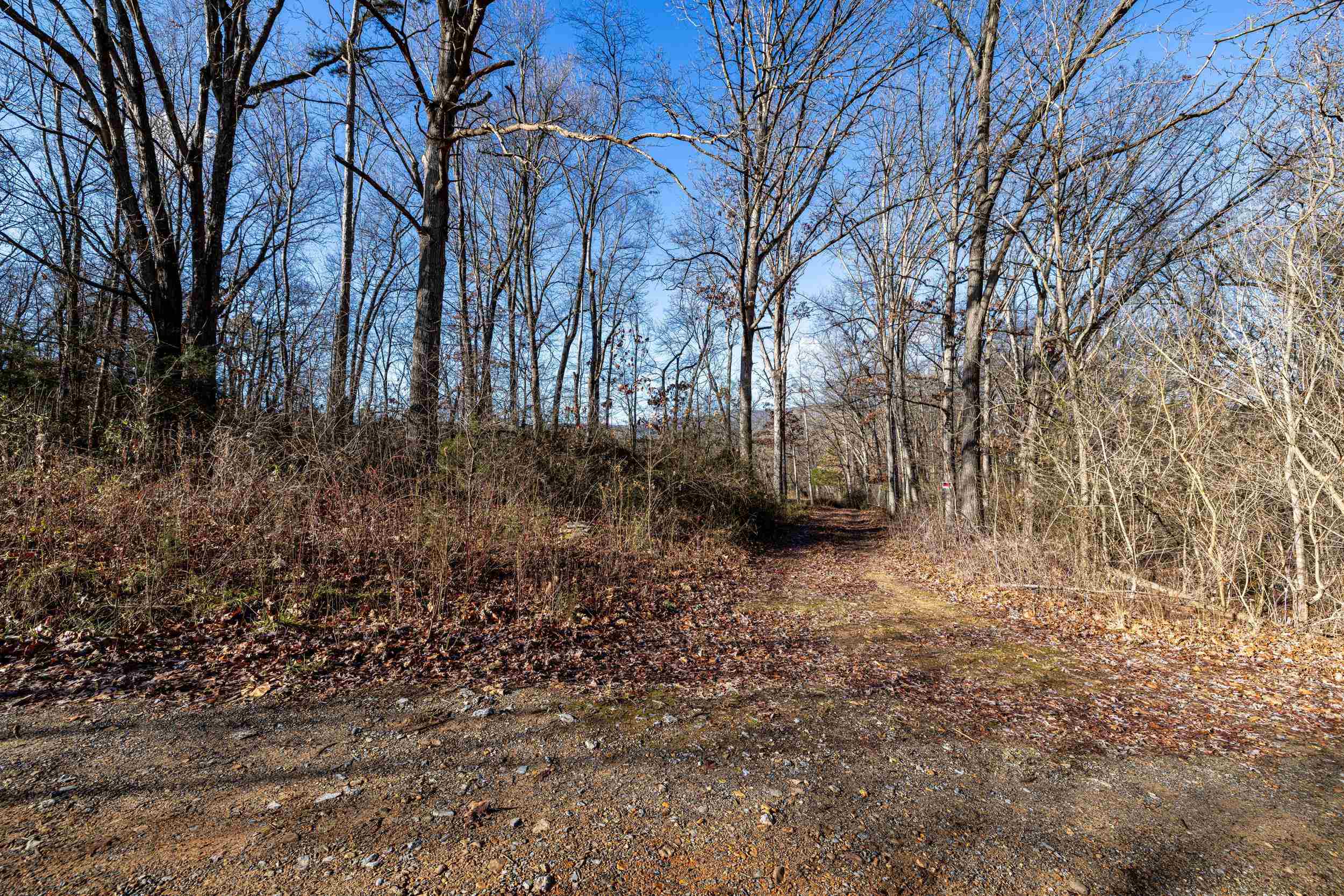 0 GRANDOS ST, SHENANDOAH, Virginia 22849, ,Land,0 GRANDOS ST,659850 MLS # 659850