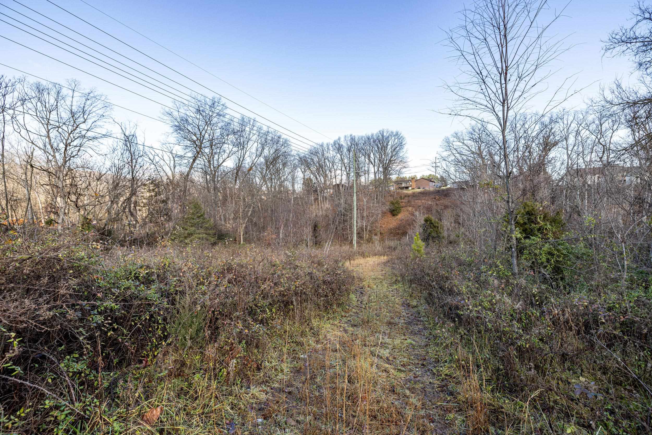 0 GRANDOS ST, SHENANDOAH, Virginia 22849, ,Land,0 GRANDOS ST,659850 MLS # 659850