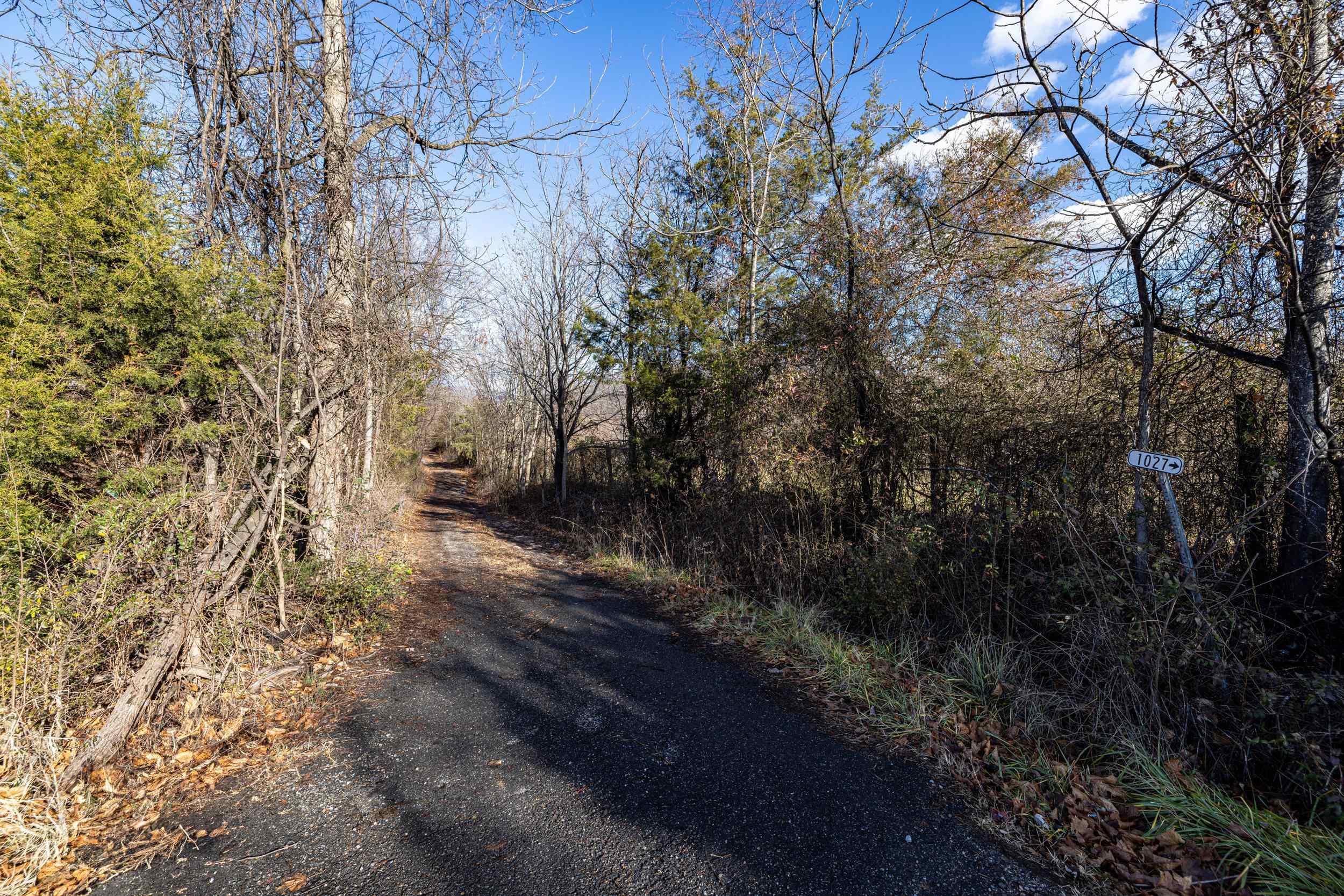 0 GRANDOS ST, SHENANDOAH, Virginia 22849, ,Land,0 GRANDOS ST,659850 MLS # 659850