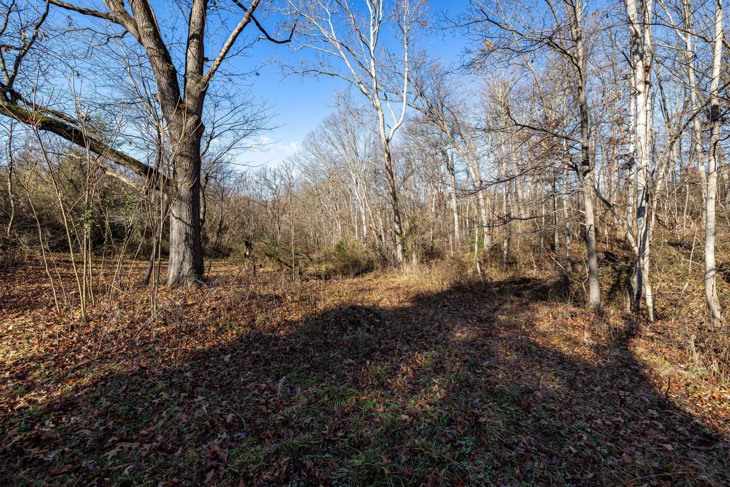 0 GRANDOS ST, SHENANDOAH, Virginia 22849, ,Land,0 GRANDOS ST,659850 MLS # 659850