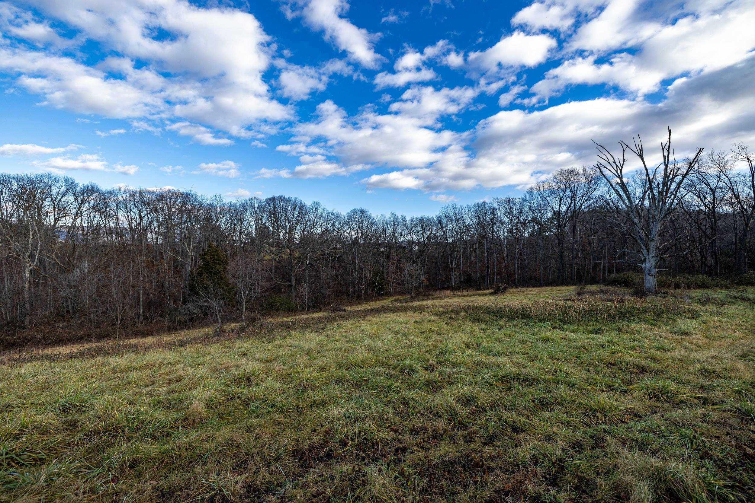 0 GRANDOS ST, SHENANDOAH, Virginia 22849, ,Land,0 GRANDOS ST,659850 MLS # 659850