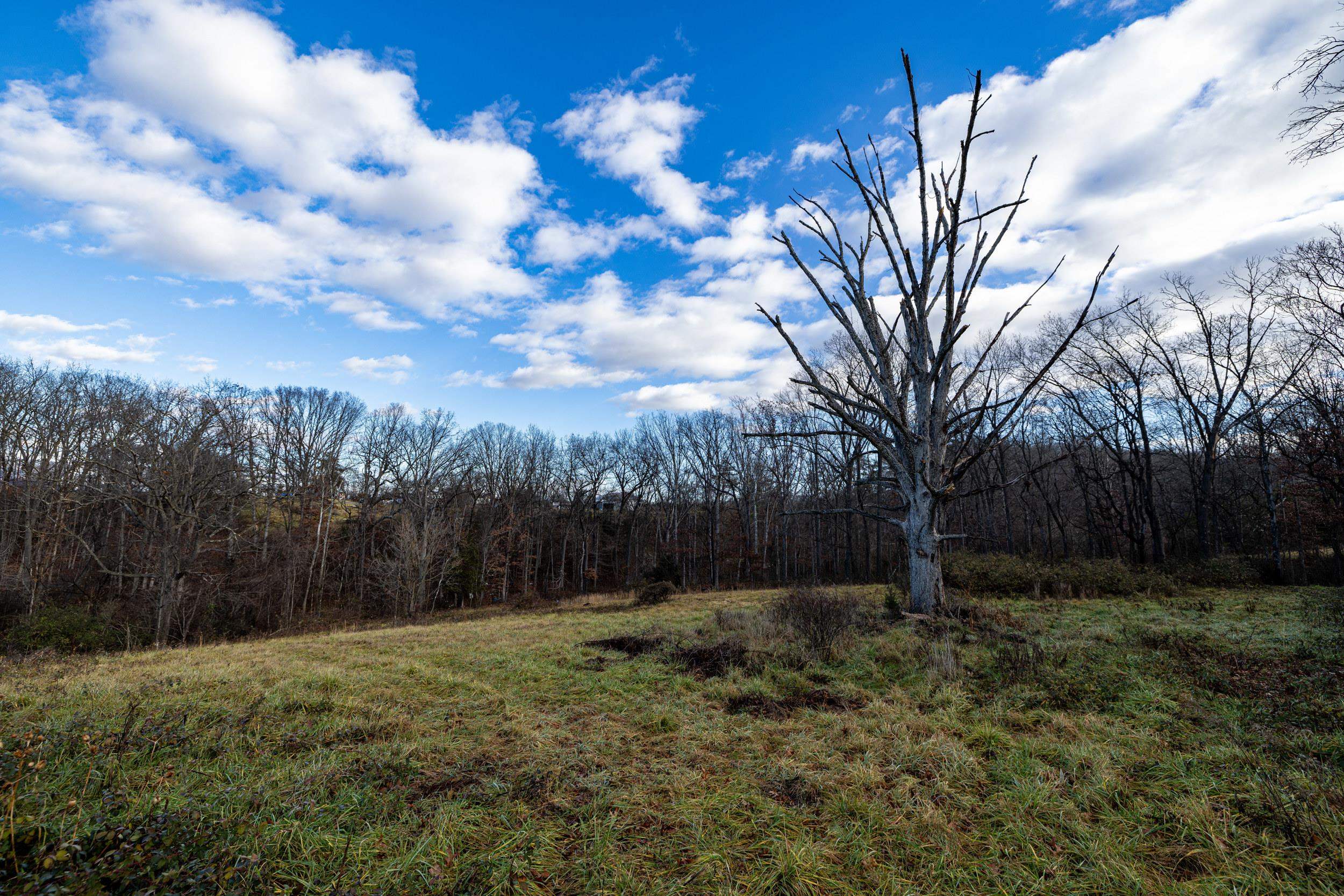 0 GRANDOS ST, SHENANDOAH, Virginia 22849, ,Land,0 GRANDOS ST,659850 MLS # 659850