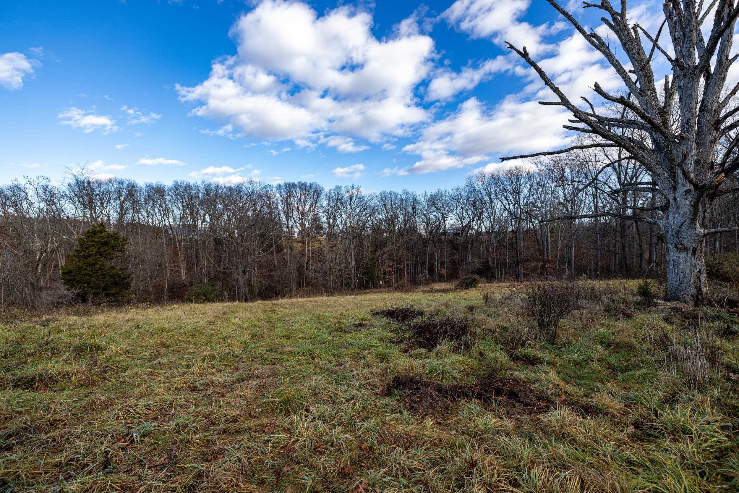 0 GRANDOS ST, SHENANDOAH, Virginia 22849, ,Land,0 GRANDOS ST,659850 MLS # 659850