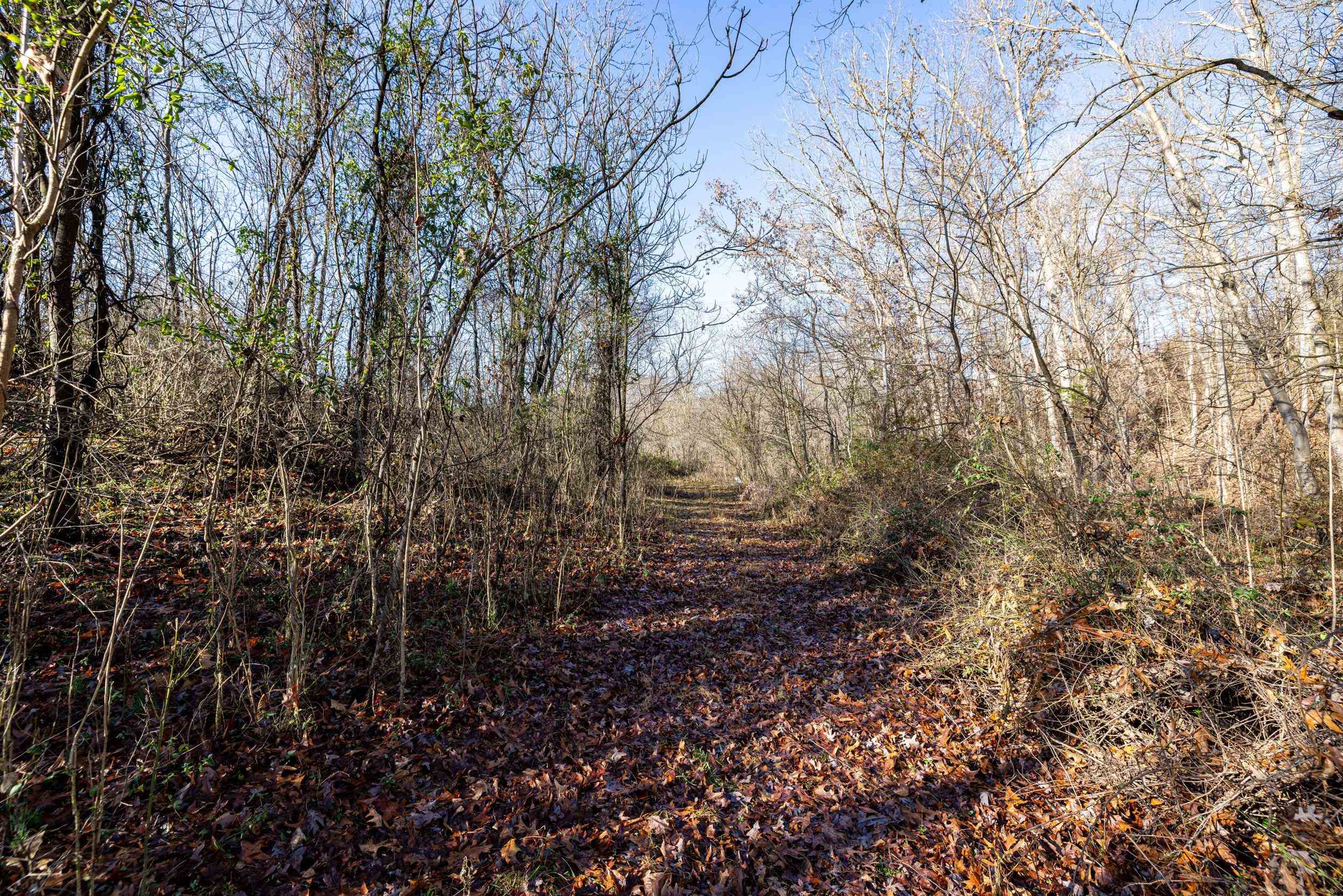 0 GRANDOS ST, SHENANDOAH, Virginia 22849, ,Land,0 GRANDOS ST,659850 MLS # 659850