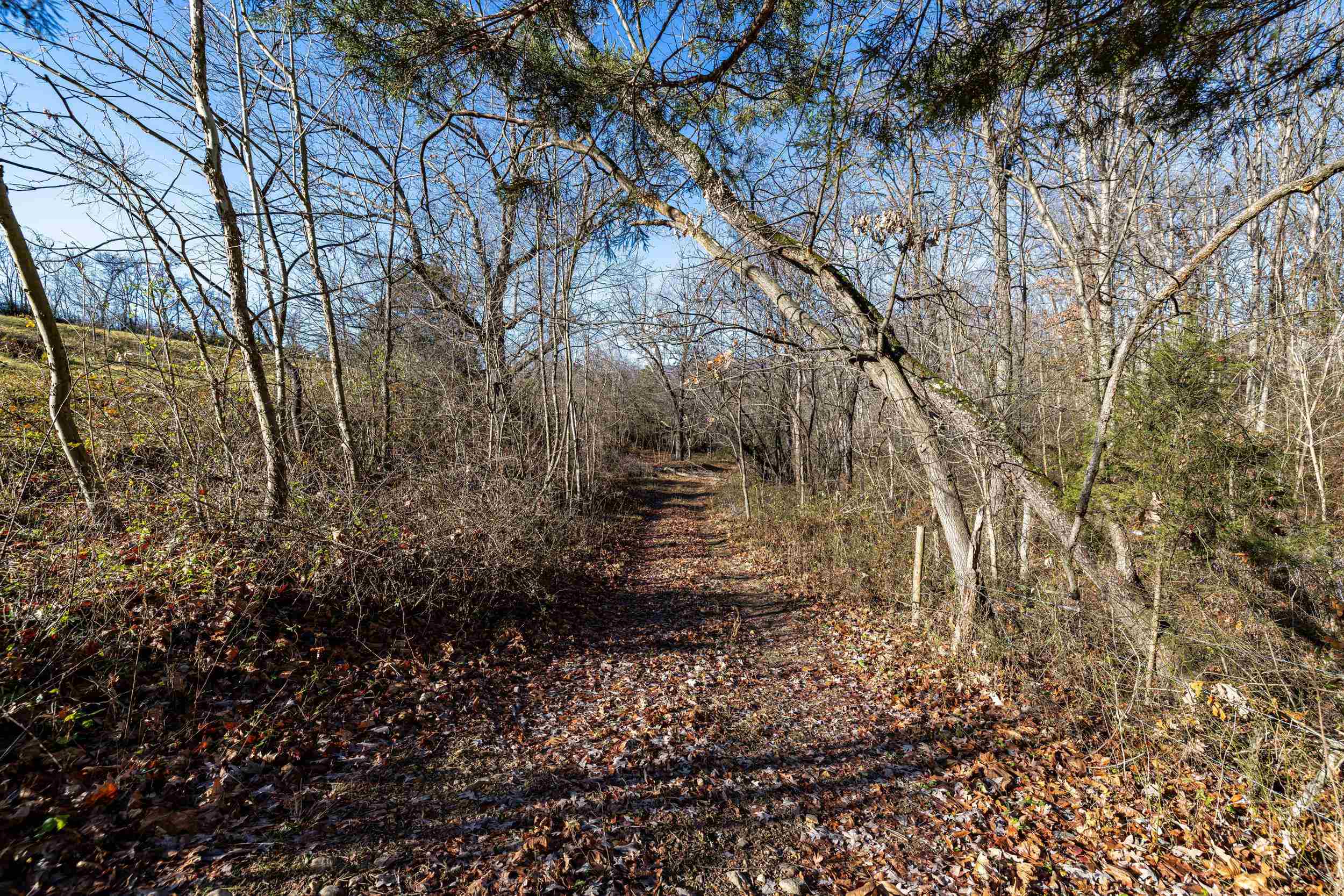 0 GRANDOS ST, SHENANDOAH, Virginia 22849, ,Land,0 GRANDOS ST,659850 MLS # 659850