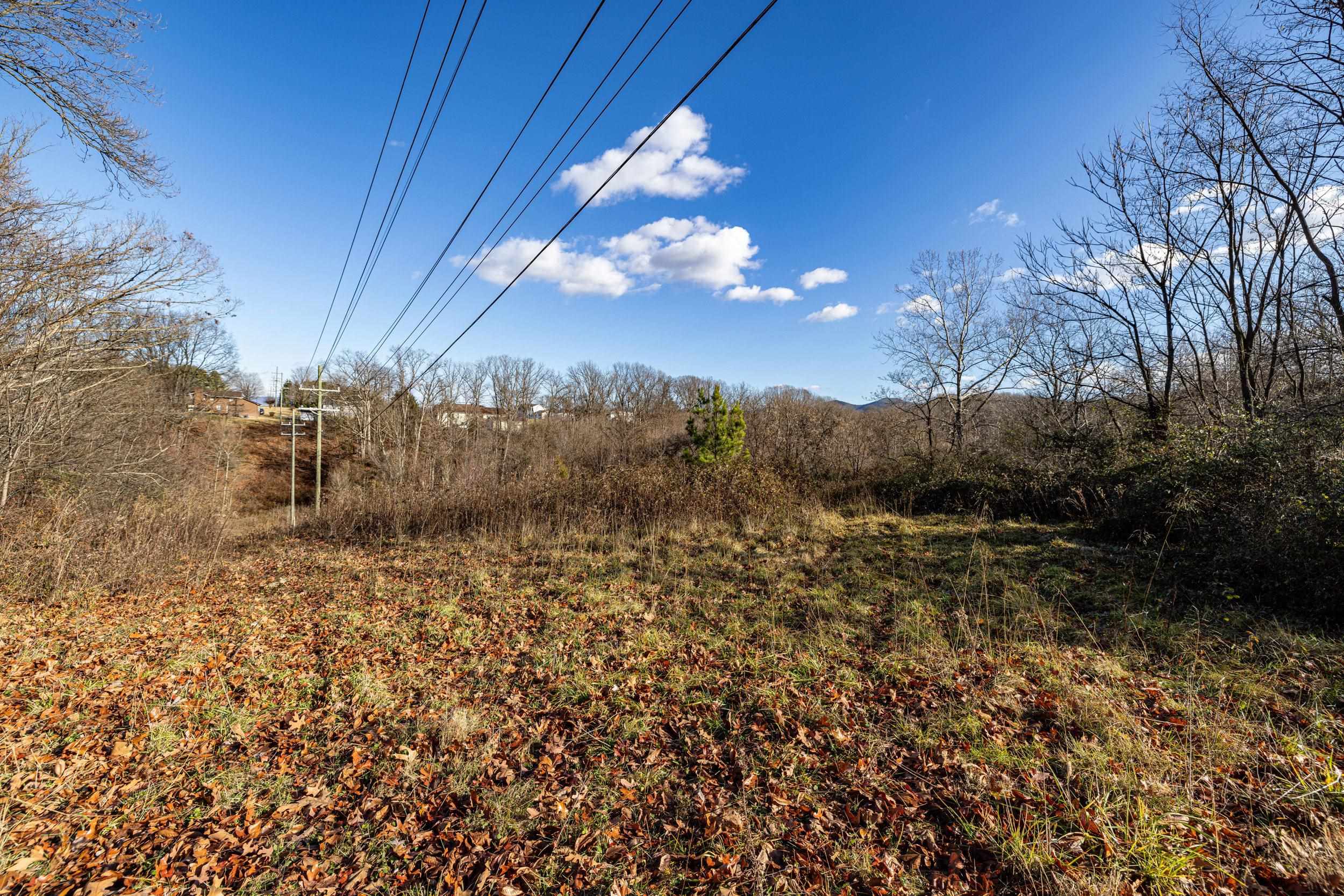 0 GRANDOS ST, SHENANDOAH, Virginia 22849, ,Land,0 GRANDOS ST,659850 MLS # 659850