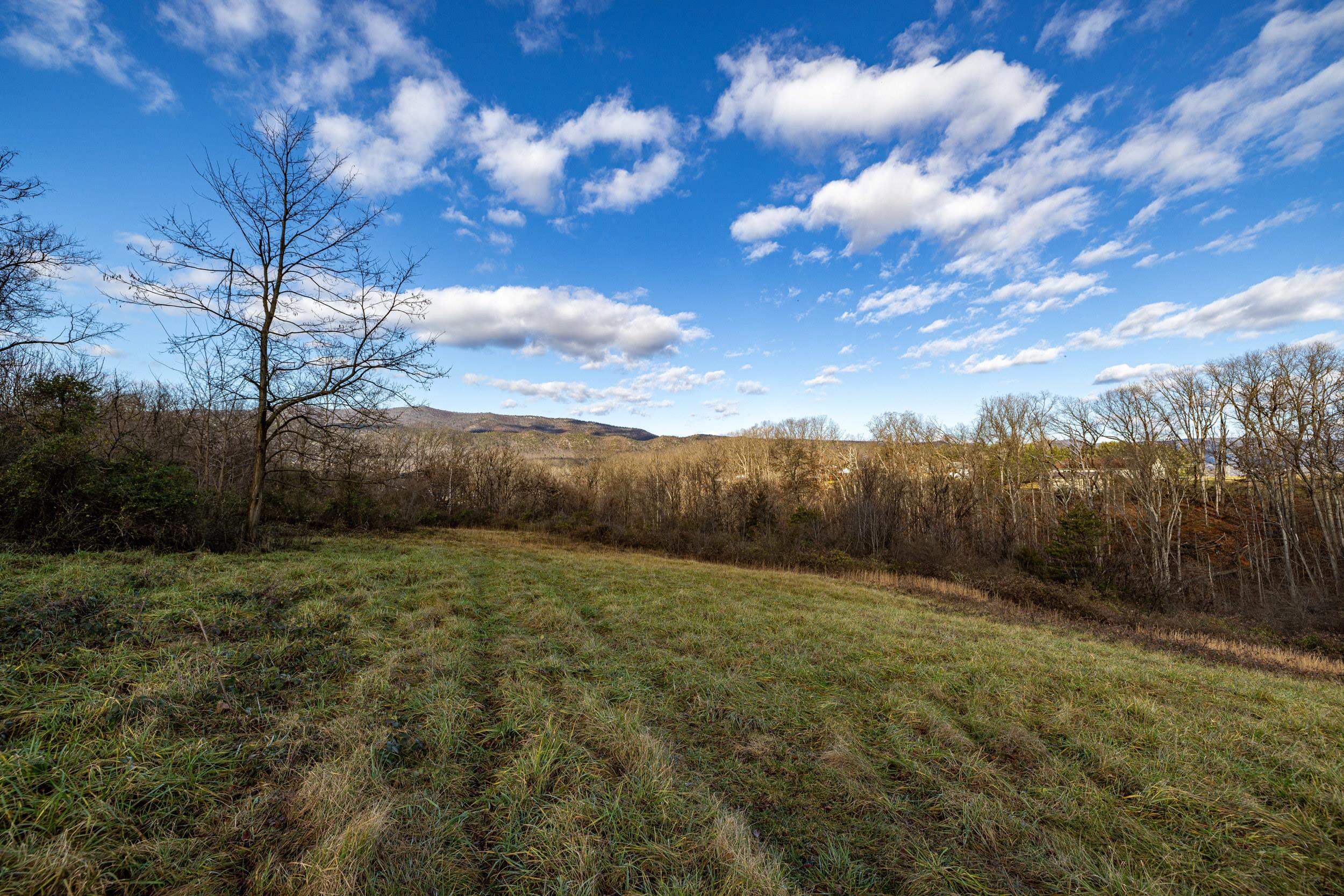 0 GRANDOS ST, SHENANDOAH, Virginia 22849, ,Land,0 GRANDOS ST,659850 MLS # 659850