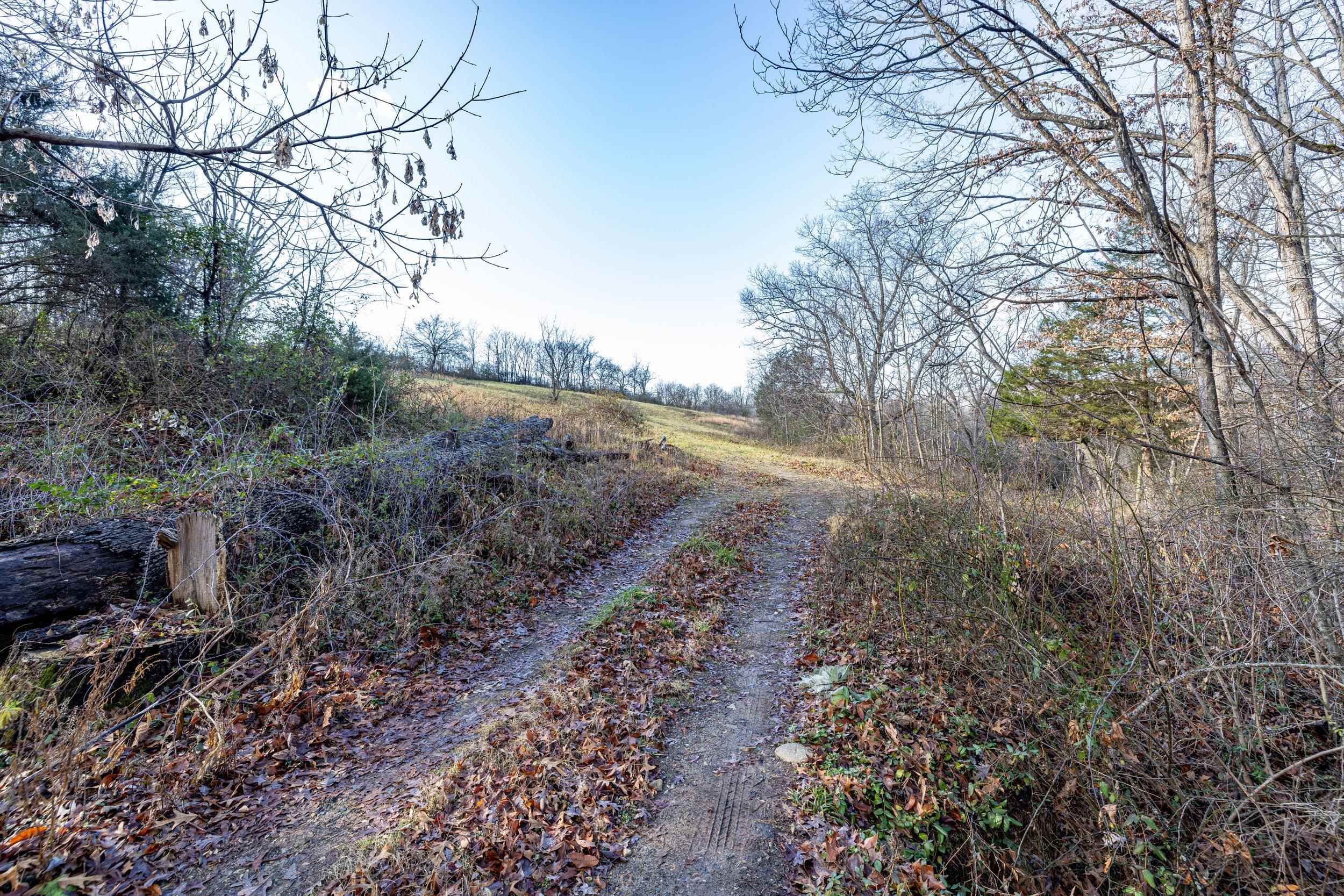 0 GRANDOS ST, SHENANDOAH, Virginia 22849, ,Land,0 GRANDOS ST,659850 MLS # 659850