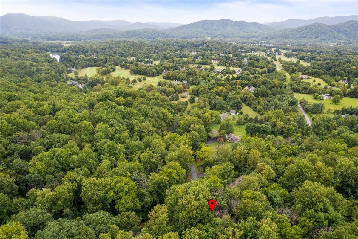 233 STONE CHIMNEYS RD, NELLYSFORD, Virginia 22958, ,Land,233 STONE CHIMNEYS RD,659873 MLS # 659873