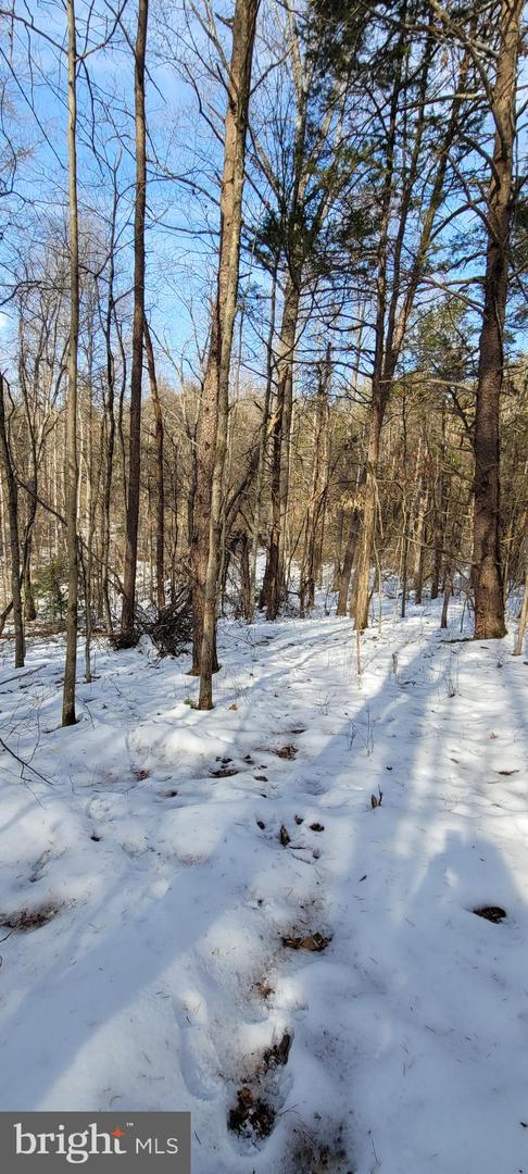 VACANT LAND CABIN BRANCH ROAD, MARSHALL, Virginia 20115, ,Land,For sale,VACANT LAND CABIN BRANCH ROAD,VAFQ2015032 MLS # VAFQ2015032