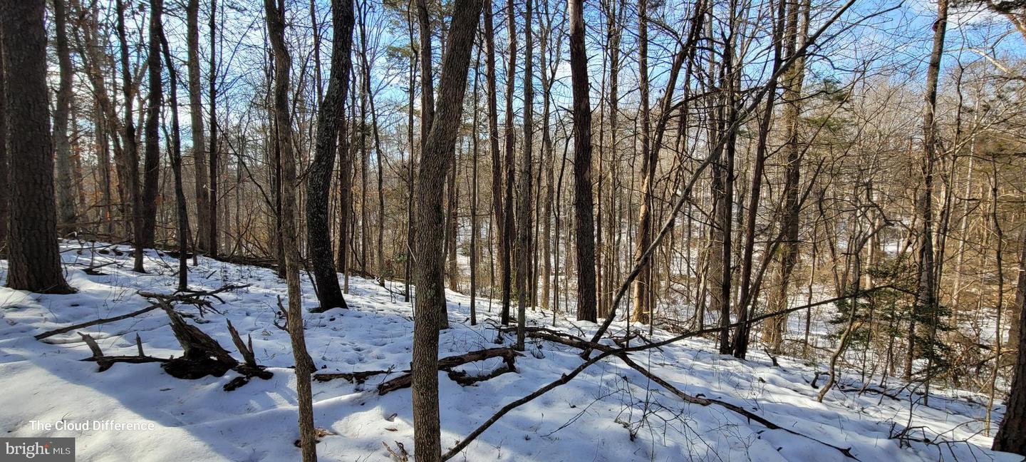 VACANT LAND CABIN BRANCH ROAD, MARSHALL, Virginia 20115, ,Land,For sale,VACANT LAND CABIN BRANCH ROAD,VAFQ2015032 MLS # VAFQ2015032