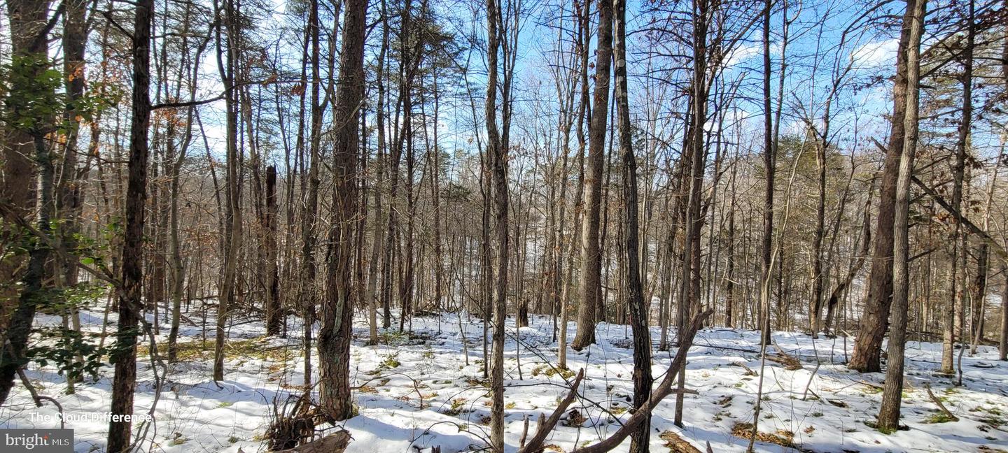 VACANT LAND CABIN BRANCH ROAD, MARSHALL, Virginia 20115, ,Land,For sale,VACANT LAND CABIN BRANCH ROAD,VAFQ2015032 MLS # VAFQ2015032