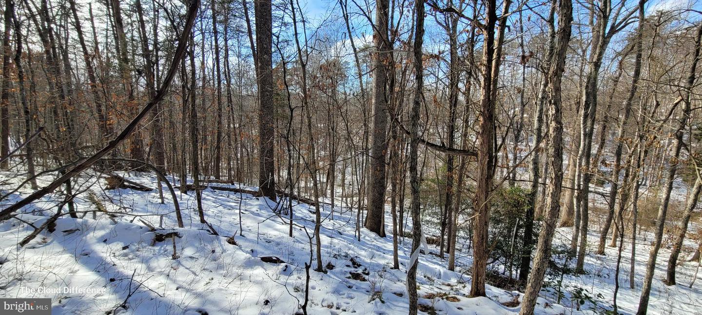 VACANT LAND CABIN BRANCH ROAD, MARSHALL, Virginia 20115, ,Land,For sale,VACANT LAND CABIN BRANCH ROAD,VAFQ2015032 MLS # VAFQ2015032