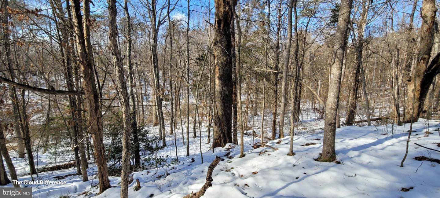 VACANT LAND CABIN BRANCH ROAD, MARSHALL, Virginia 20115, ,Land,For sale,VACANT LAND CABIN BRANCH ROAD,VAFQ2015032 MLS # VAFQ2015032