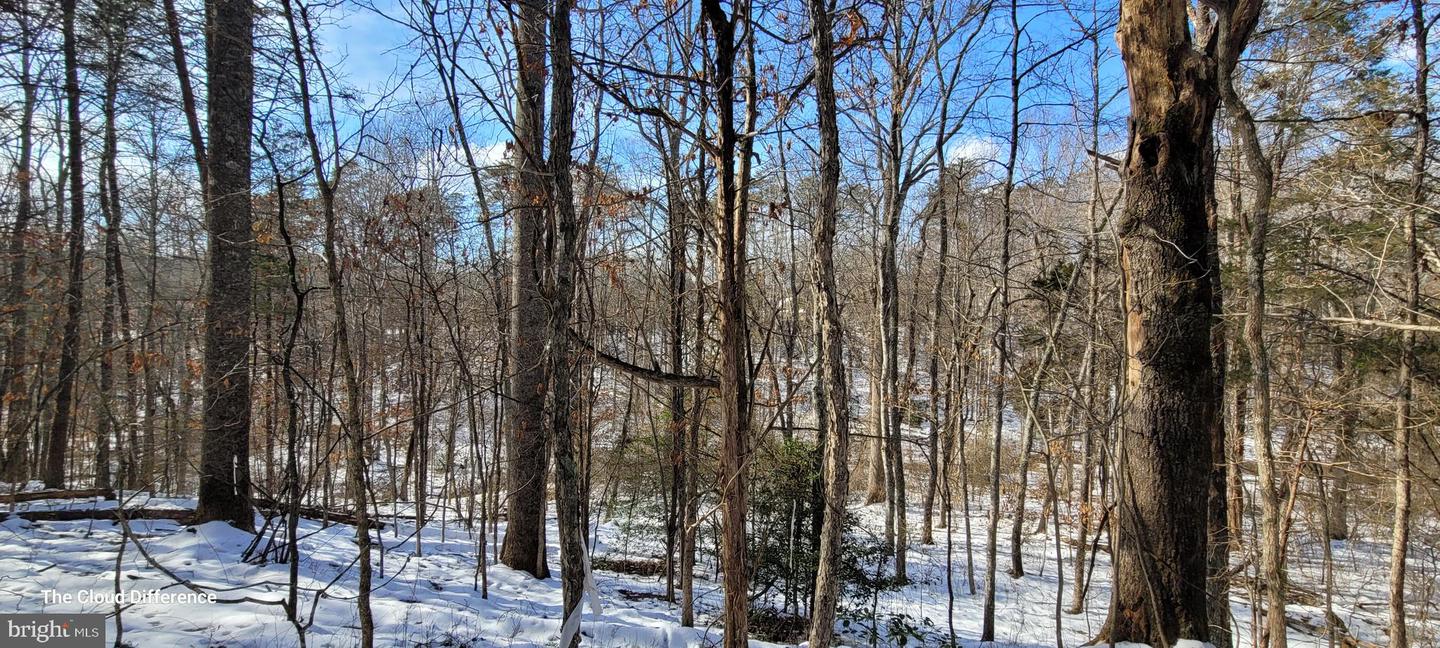 VACANT LAND CABIN BRANCH ROAD, MARSHALL, Virginia 20115, ,Land,For sale,VACANT LAND CABIN BRANCH ROAD,VAFQ2015032 MLS # VAFQ2015032