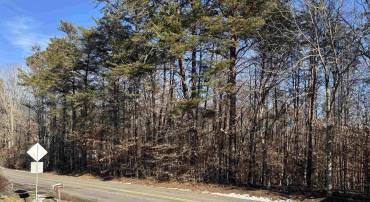 000 BYBEES CHURCH RD, PALMYRA, Virginia 22963, ,Land,For sale,000 BYBEES CHURCH RD,660167 MLS # 660167