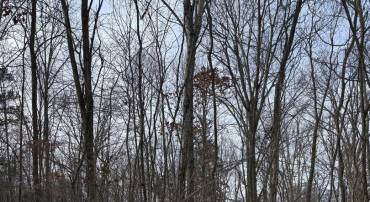 LOT 14 PINEY LN, REMINGTON, Virginia 22734, ,Land,For sale,LOT 14 PINEY LN,VAFQ2015216 MLS # VAFQ2015216